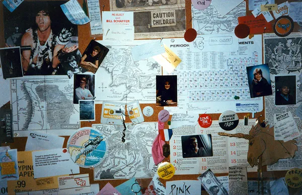 Official City Bulletin: Spring Festival Mobility, Park Maintenance, and Council Updates