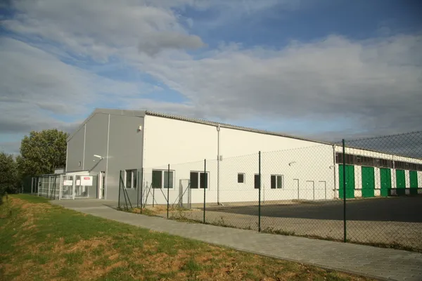 Austin Pets Alive reports near-empty dog kennels after emergency foster surge ahead of winter storm