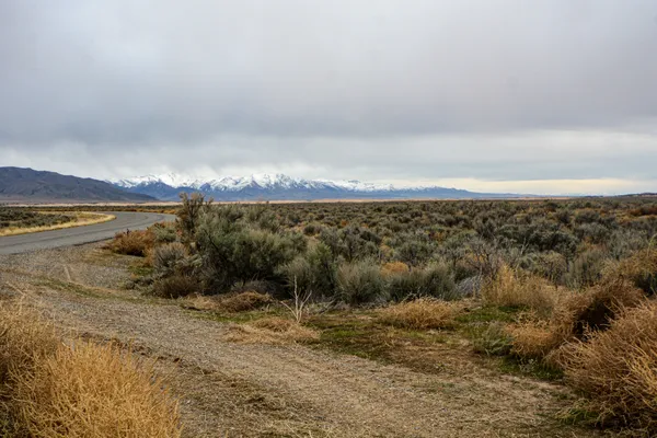 Mild Temperatures and Damp Skies: The Warm Prelude to a Frigid Weekend