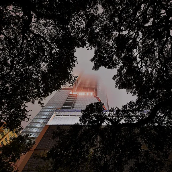 Foggy Friday: The Calm Before Austin’s Massive Arctic Blast