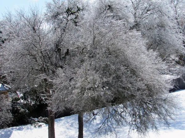 Winter storm watch for Central Texas signals possible ice, sleet and dangerous travel around Austin