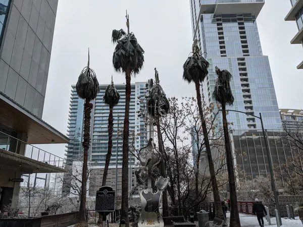 Austin Morning Briefing: Thawing Out After the Weekend Freeze