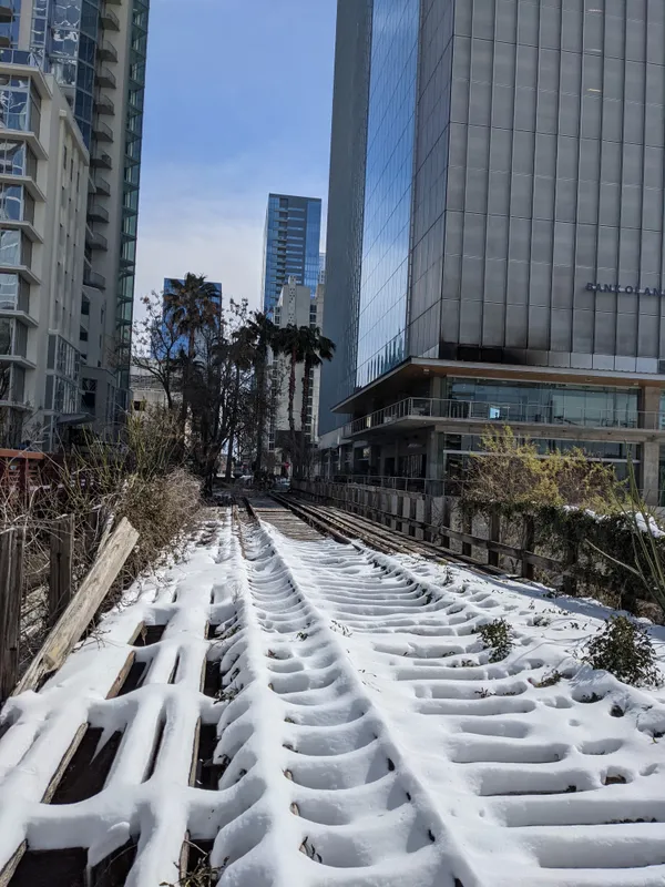 Austin Under Ice: A Cold Sunday Briefing on Transit and Tiny Mayors