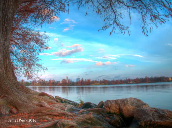 Golden Skies and Gentle Breezes: Austin’s Perfect MLK Day Rebound