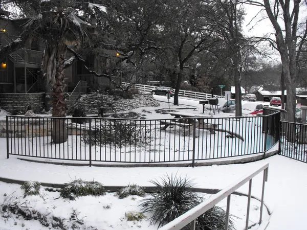 Austin's Big Chill: Frigid Morning Leads to a Welcome Afternoon Thaw