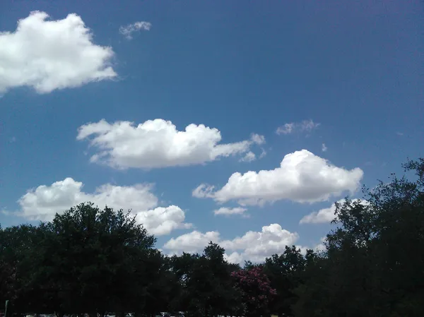 Austin-area midday weather on Monday, January 19: cold morning, mild afternoon, clouds increasing late day