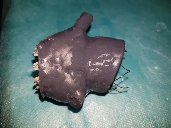 UT Austin researchers use light-controlled 3D printing to produce lifelike anatomical models from one resin